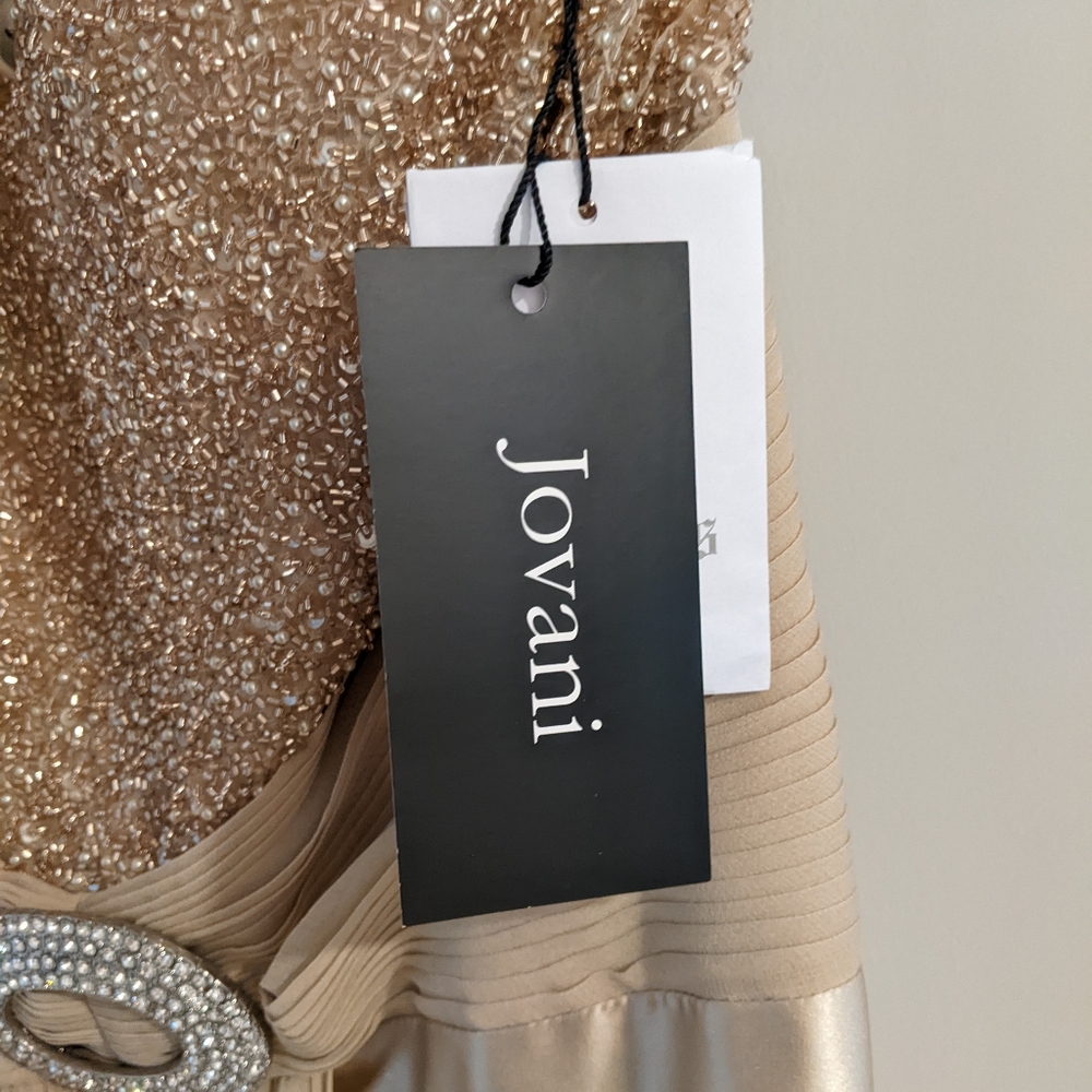 Jovani Formal Dress - Picture 3 of 5